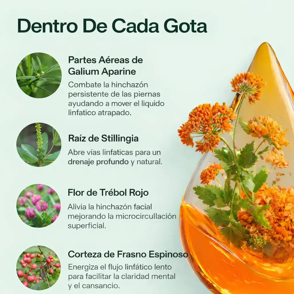 Ingredientes